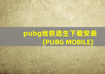 pubg地铁逃生下载安装(PUBG MOBILE)